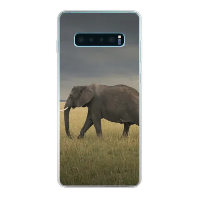 Produktbild von MuchoWow® Handyhülle Schutzhülle Hülle für Samsung Galaxy S10 Plus Elefant - Savanne - Tiere - Natur Silikon Softcase Handy Hülle - Schutzhülle