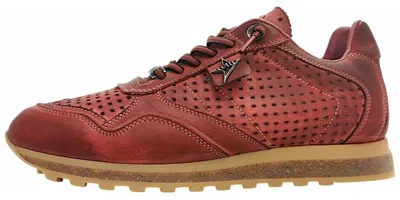 Obrázek produktu pro Cetti C848 Inv26 Bordeaux barva