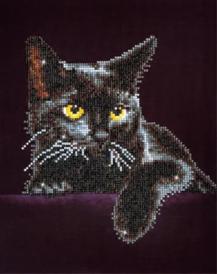 Produktbild von Midnight Cat Diamond Dotz: 28x36 cm