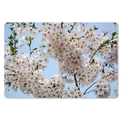 Produktbild von MuchoWow® Schreibtischunterlage Pflanzen - Blumen - Zweig 60x40 cm - XXL Mauspad - Großes Mauspad