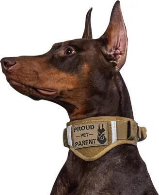 Productafbeelding van Famanu Halsband, verstelbaar - Duurzaam hondenhalster met AirTag-houder - Coyote bruin