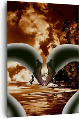 Produktbild von Bild auf Leinwand - Leinwandbild - Einteilig - Schwäne Nacht Liebe - 70x100cm - Wand Bild - Wanddeko - Wandbilder - Leinwanddruck - Wanddekoration - Leinwand bilder - Wandbild - PA70x100-0293
