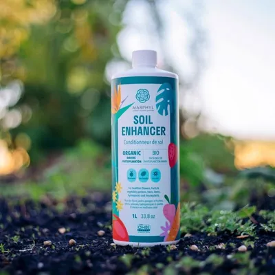 Immagine prodotto di MARPHYL Fertilizzante liquido organico a base di fitoplancton marino, 1 litro
