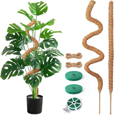 Obrázok produktu pre Moss Stick 2 x 75 cm, prírodné kokosové vlákna, podpora rastlín, pre popínavé rastliny