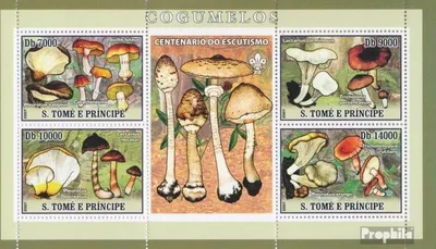 Produktbild von Briefmarken Sao Tome e Principe 2007 Mi 3004-3007 Kleinbogen (kompl. Ausgabe) postfrisch Pilze