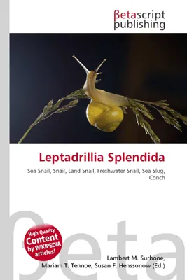 Produktbild von Leptadrillia Splendida