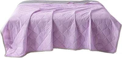 Productafbeelding van Koeldeken - Zomerdeken Verkoelend - Koel Slapen - Snel Zweetabsorptie - 200x230cm - Lavendel