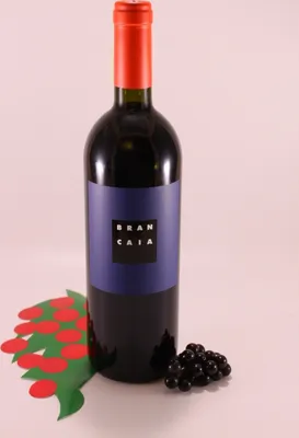 Produktbild von Brancaia Il Blu - 2019 - Kellerei Brancaia
