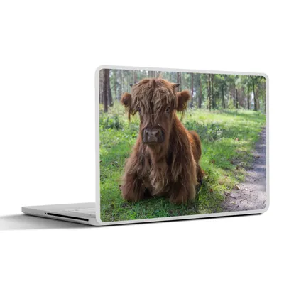 Produktbild von MuchoWow® Laptop Aufkleber Sticker Cover Schottischer Highlander - Kröte - Tiere 31x22.5 cm - Laptop-Deko