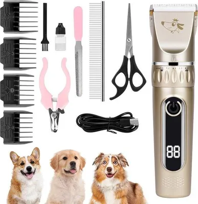 Image de Tondeuse électrique pour animaux - Rechargeable et sans fil - 2 vitesses - 11 accessoires - Or