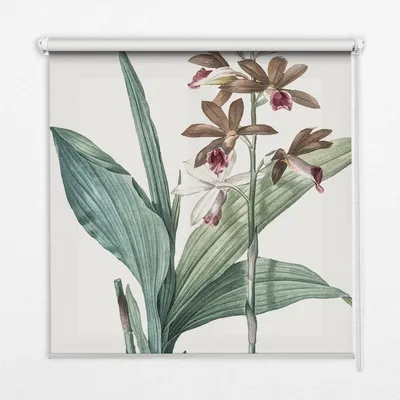 Produktbild von Seitenzug-Rollo Fensterrollo Jalousie - Thermo-Rollo Verdunkelungsrollo - 80x240 cm - Blume