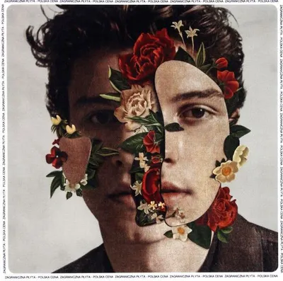 Immagine prodotto di Shawn Mendes: Shawn Mendes (PL)