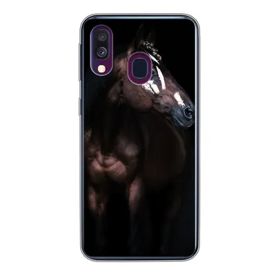 Produktbild von MuchoWow® Handyhülle Schutzhülle Hülle für Samsung Galaxy A40 Pferd - Flecken - Licht Silikon Softcase Handy Hülle - Handy-Tasche