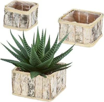 Image de Lot de 3 jardinières rectangulaires en bois, blanc/naturel, pour l'intérieur et l'extérieur