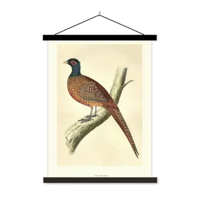 Produktbild von MuchoWow® Textilposter Antiker Vogeldruck Fasan 40x53 cm mit schwarzem Rahmen - Abbildung
