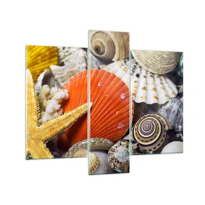 Produktbild von Bilder auf glas - Seashell Meer Strand Sand - 95x80cm - Glasbilder - Wandbilder - Kunstdruck - zum Aufhängen bereit - Wanddekoration aus Glas - Glas Bilder - Wandbild auf Glas - GCB95x80-0456