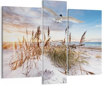 Produktbild von Bild auf Leinwand - Leinwandbild - 3 Teile - Möwe Meer Küste - 95x80cm - Wand Bild - Wanddeko - Wandbilder - Leinwanddruck - Bilder - Wanddekoration - Leinwand bilder - Wandbild - CB95x80-4902