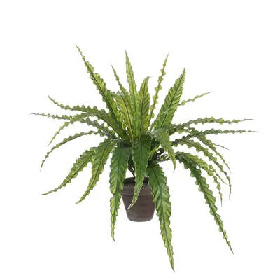 Image de Mica Decorations Asplenium Plante artificielle dans pot de fleurs Stan - H50 x Ø75 cm - Vert