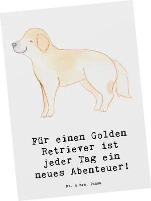 Produktbild von Mr. & Mrs. Panda Postkarte Golden Retriever Abenteuer - Weiß - Geschenk, Explorieren, Ansichtskarte, Hundeliebhaber, Hunderassen Beschreibung, Freude, Postkarten