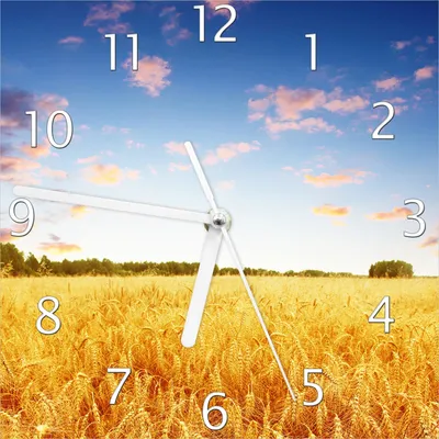 Produktbild von Wallario Design Wanduhr Weizenfeld unter blauem Himmel aus Echtglas, Größe 20 x 20 cm