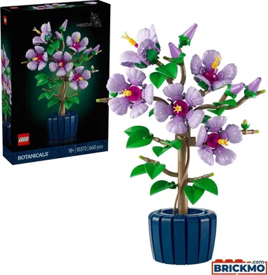 Produktbild von LEGO BOTANICALS 10372 Hibiskus