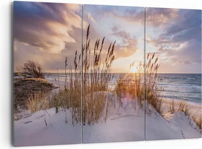 Produktbild von Bild auf Leinwand - Leinwandbild - 3 Teile - Westen auf der Strand - 165x110cm - Wand Bild - Wanddeko - Wandbilder - Leinwanddruck - Bilder - Wanddekoration - Leinwand bilder - CE165x110-4710