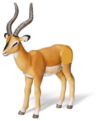 Immagine prodotto di tiptoi® Antilope