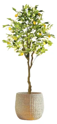 Obrázok produktu pre Umelý citrónovník – stojací bonsai 150 cm – realistický kmeň a plody – umelá rastlina – do exteriéru – tmavo ružová
