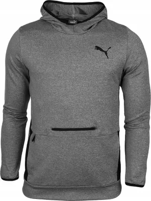Produktbild von Puma Sweatshirts Rtg Hoodie, 58583103, Größe: 182