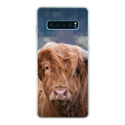 Produktbild von MuchoWow® Handyhülle Schutzhülle Hülle für Samsung Galaxy S10 Plus Schottischer Highlander - Hörner - Berg Silikon Softcase Handy Hülle - Schutzhülle