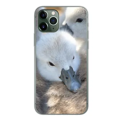 Produktbild von MuchoWow® Handyhülle Schutzhülle Hülle für iPhone 11 Pro Schwäne - Licht - Küken Silikon Softcase Handy Hülle - Handy