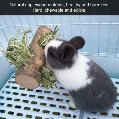 Image de Enclos pliable pour petits animaux - Mangeoire en bois et jouets