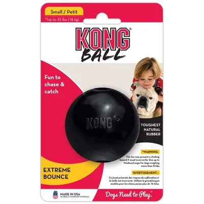 A Kong Ball dog toy in its packaging, with a child and dog pictured on the packaging.