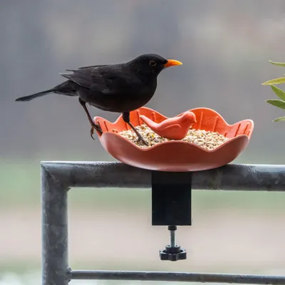 Produktbild von CJ Wildlife Vogelfutterspender Balkon - pflanzenbasiert, orange/rot - verstellbare Halteklemme - platzsparend für kleine Balkone - frostbeständig