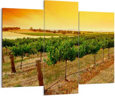 Produktbild von Bild auf Leinwand - Leinwandbild - Landschaft Weinberg Sonnenuntergang - 130x100cm - Wand Bild - Wanddeko - Leinwanddruck - Bilder - Kunstdruck - Leinwand bilder - Wandkunst - CB130x100-0116