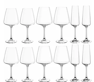 Produktbild von LEONARDO Paladino - Kelchglas-Set TEQTON®-Kristallglas – zwölfteilig