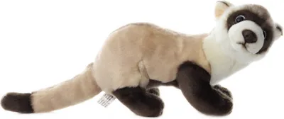 Image de Peluche Ferret 23 cm