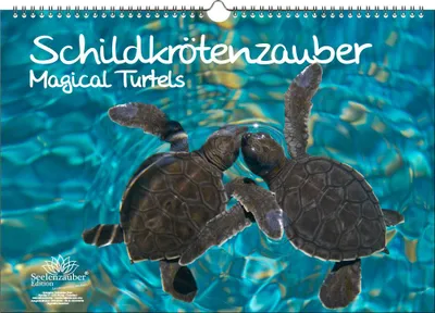 Produktbild von Schildkrötenzauber DIN A3 Immerwährender Kalender Schildkröten - Seelenzauber