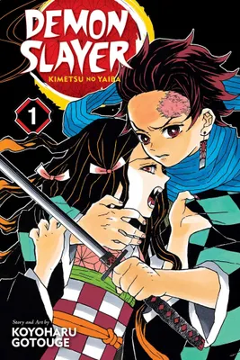 Produktbild von Demon Slayer: Kimetsu no Yaiba, Vol. 1