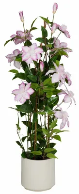 Immagine prodotto di HOWHOMELY | Pianta decorativa in vaso - Piante - rosa - verde - 98 cm - Pianta artificiale - per la casa - Decorativa