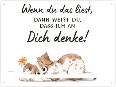 Produktbild von Hund Metallschild XXL in 28x38 cm mit Spruch Ich denke an dich