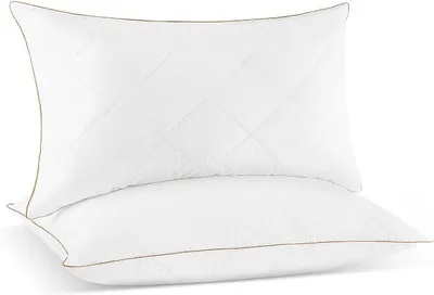 Imagen del producto de Juego de dos almohadas de plumas de ganso, 50x75 cm
