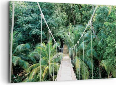 Produktbild von Bild auf Leinwand - Leinwandbild - Einteilig - Tropen Dschungel Brücke - 120x80cm - Wand Bild - Wanddeko - Wandbilder - Leinwanddruck - Bilder - Wanddekoration - Leinwand bilder - AA120x80-4963