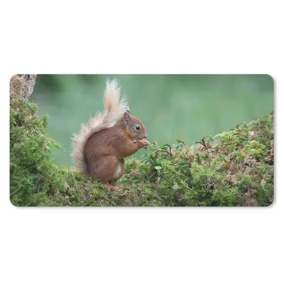 Produktbild von MuchoWow® Mauspad Mousepad Eichhörnchen - Wald - Moos 60x30 cm - Mousepads - Maus Mat - Pad - Mausunterlage - Nachhaltig