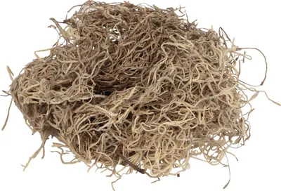 Produktbild von Deko Moos getrocknet Waldmoos Naturbraun 300g - Herbstdeko Naturdeko DIY Basteln
