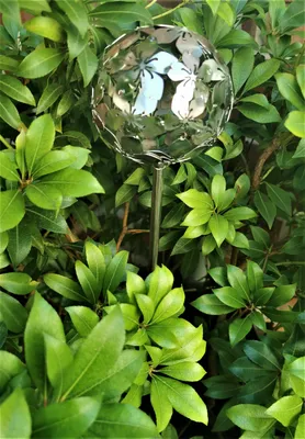 Produktbild von Rosenkugel Flower 10 cm Edelstahl matt gebürstet  mit Stab 80 cm