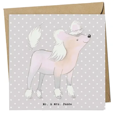 Produktbild von Mr. & Mrs. Panda Grußkarte Chinesischer Schopfhund Lebensretter - Grau Pastell - Geschenk, anlasskarte, Klappkarte, Chinese Crested Dog, doppelkarte, Glückwunschkarte
