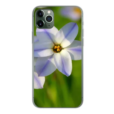 Produktbild von MuchoWow® Handyhülle Schutzhülle Hülle für iPhone 11 Pro Max Blumen - Garten - Lila Silikon Softcase Handy Hülle - Schutz