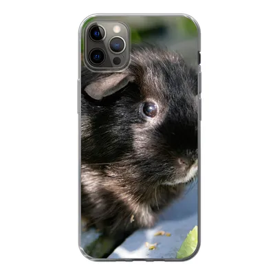 Produktbild von MuchoWow® Handyhülle Schutzhülle Hülle für iPhone 12 Pro Max Meerschweinchen im Garten Silikon Softcase Handy Hülle - Hartschale