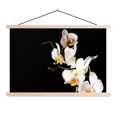Produktbild von MuchoWow® Textilposter Orchidee - Blumen - Pflanzen - Botanisch 120x80 cm mit holzfarbenen Rahmen - Aufhängeset